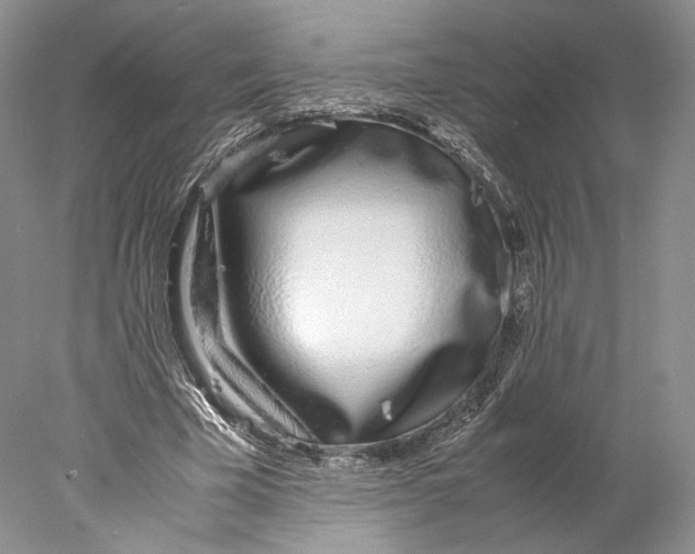 X0000077990585200611251413