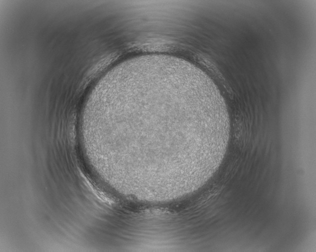 X0000077990586200611251413