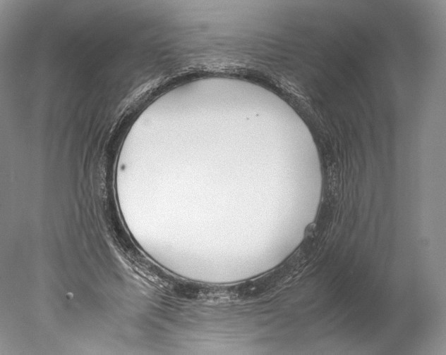 X0000077990587200611251413