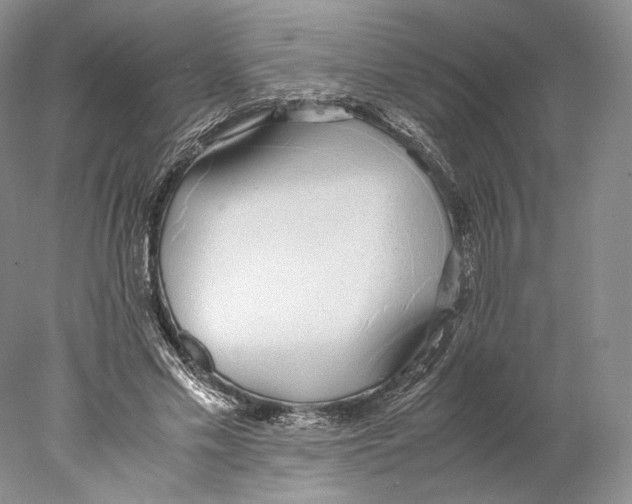 X0000077990589200611251413