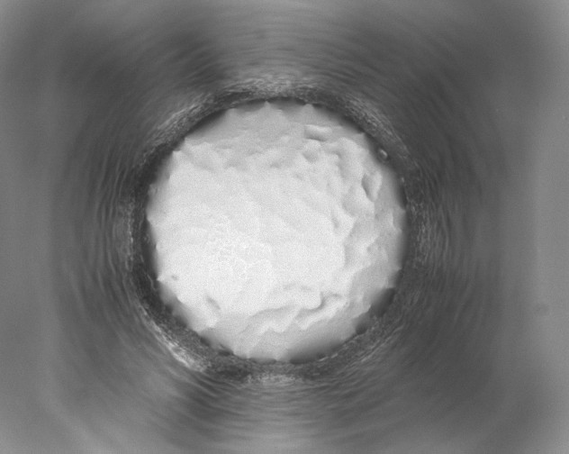 X0000077990590200611251413