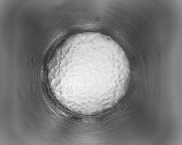 X0000077990591200611251413