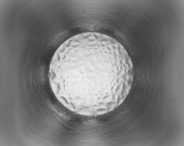 X0000077990594200611251413