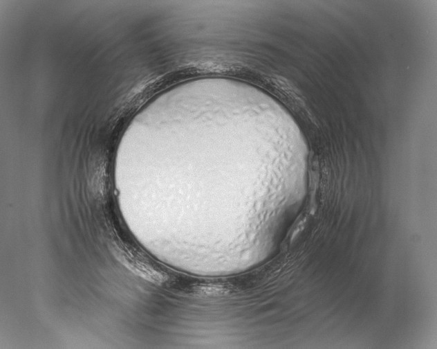 X0000077990596200611251413
