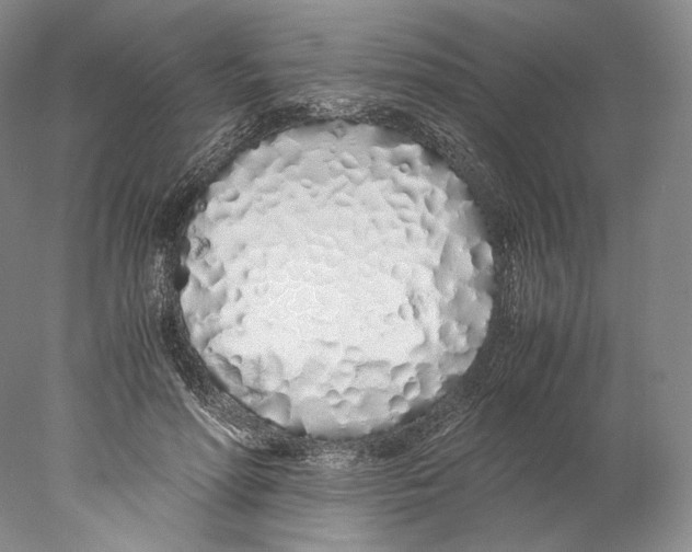 X0000077990598200611251413