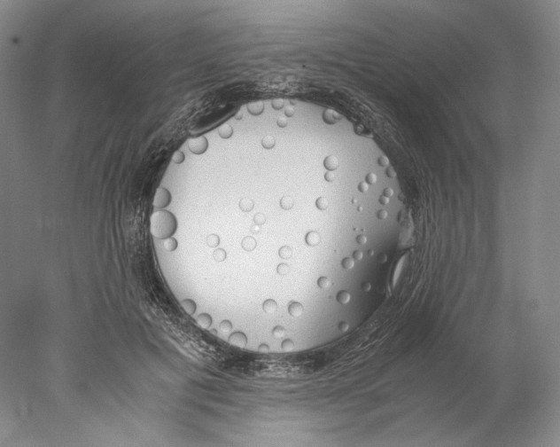 X0000077990601200611251413