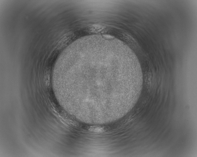 X0000077990602200611251413