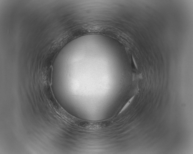X0000077990604200611251413