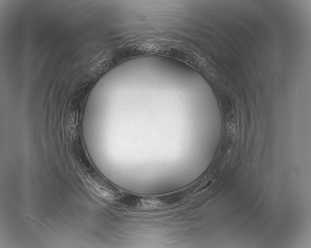 X0000077990605200611251413