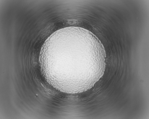 X0000077990606200611251413