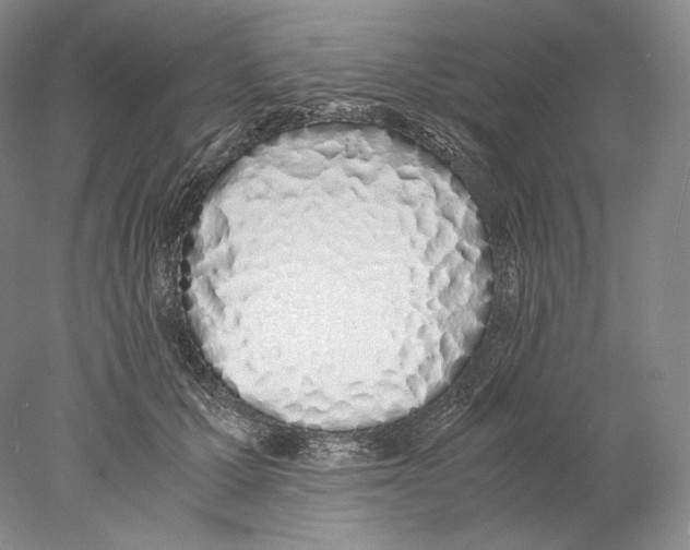 X0000077990607200611251413