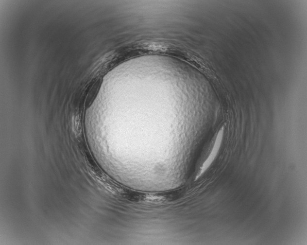 X0000077990609200611251413