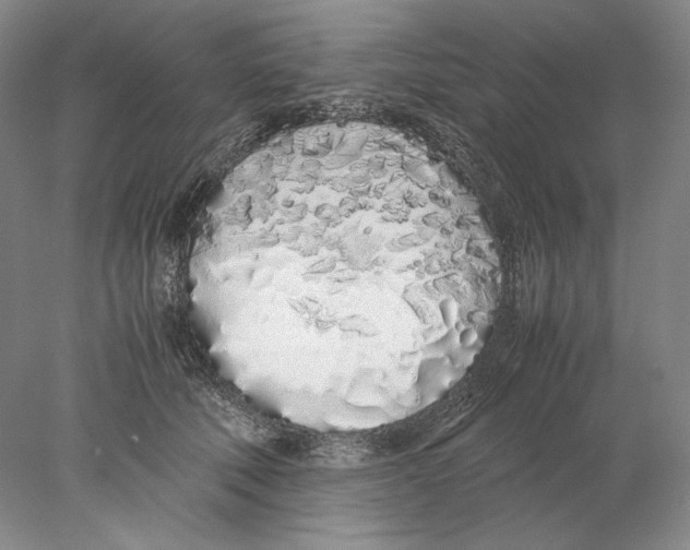 X0000077990610200611251413