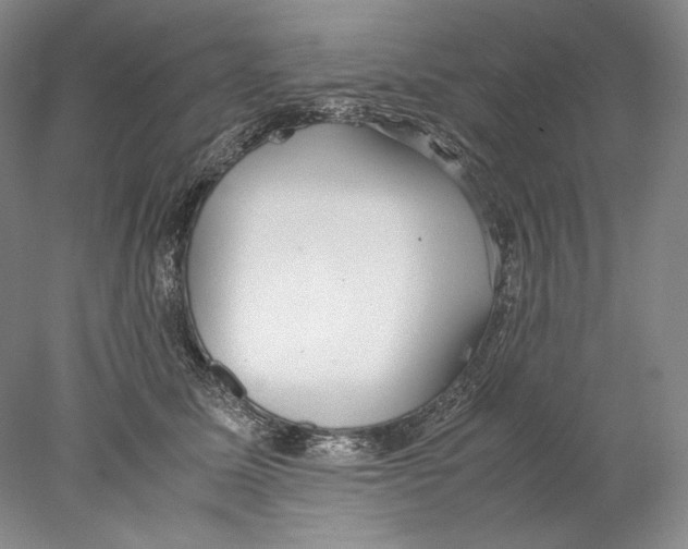 X0000077990611200611251413