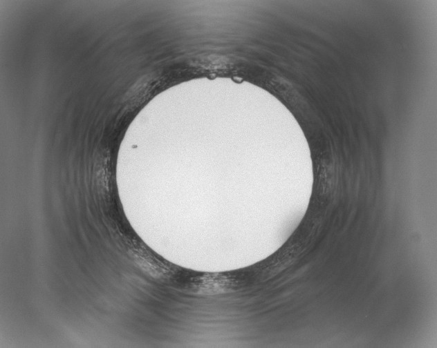 X0000077990612200611251413