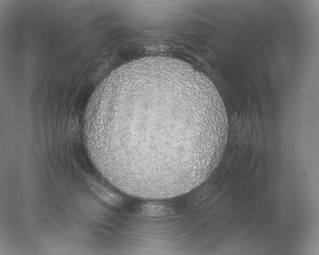 X0000077990614200611251413