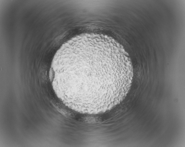 X0000077990615200611251413