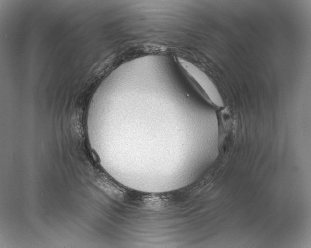 X0000077990616200611251413