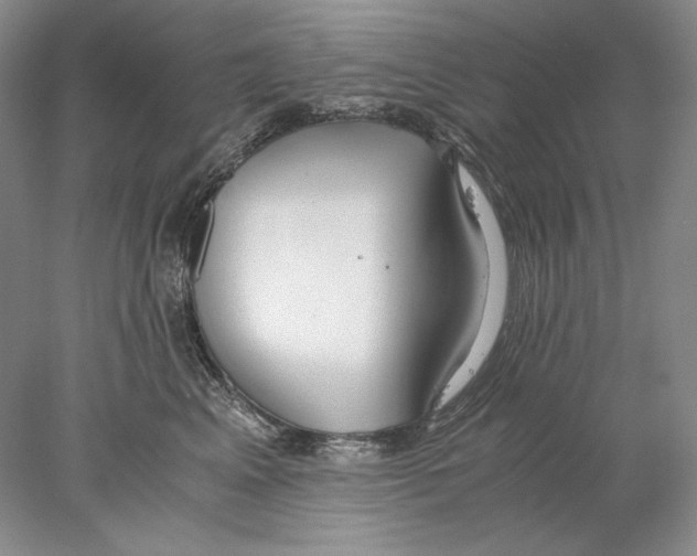 X0000077990617200611251413