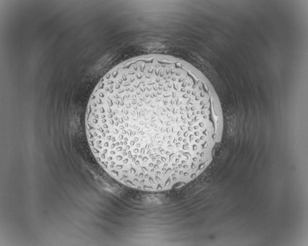 X0000077990618200611251413