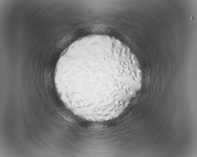 X0000077990619200611251413