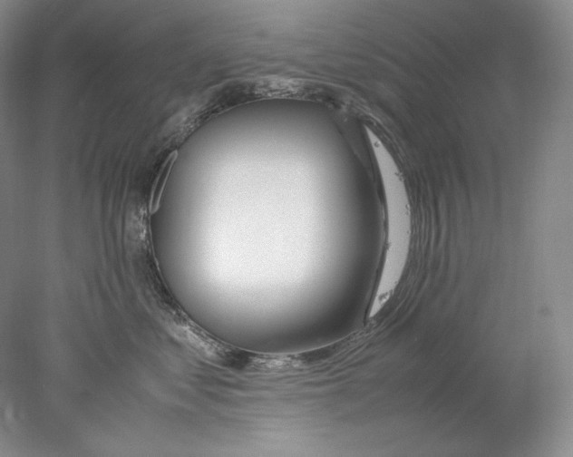 X0000077990621200611251413