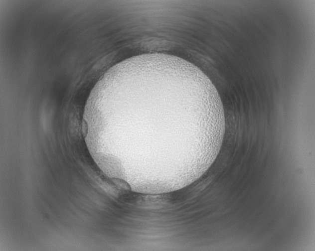 X0000077990622200611251413