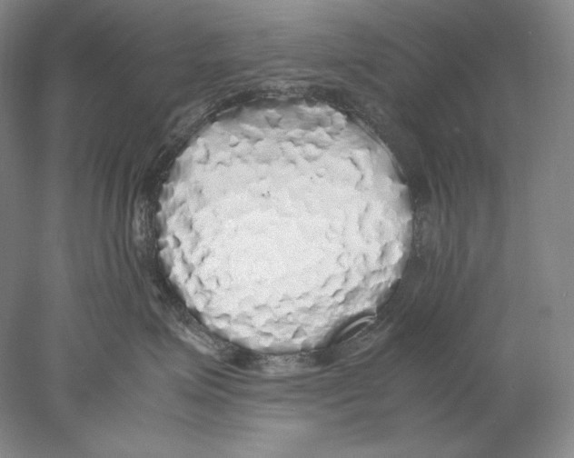 X0000077990623200611251413