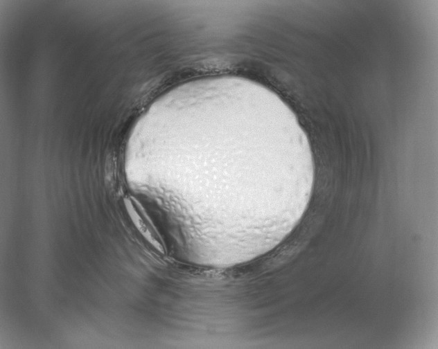 X0000077990624200611251413
