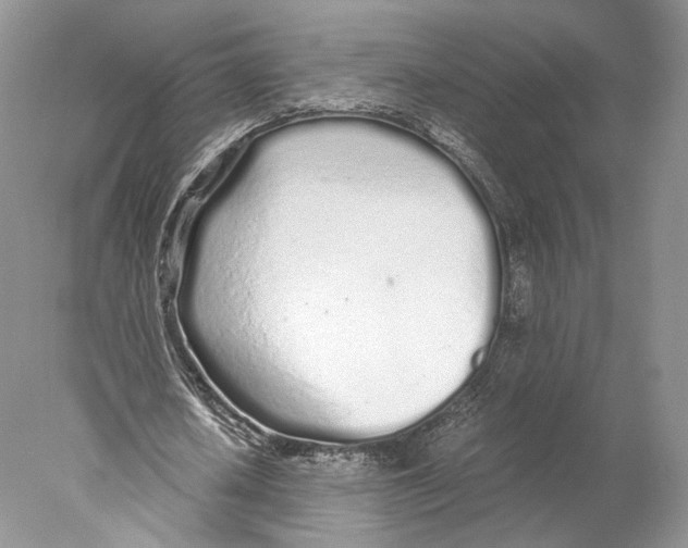 X0000077990626200611251412