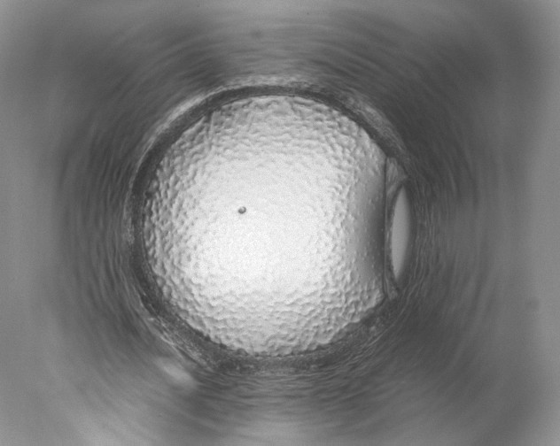 X0000077990628200611251412
