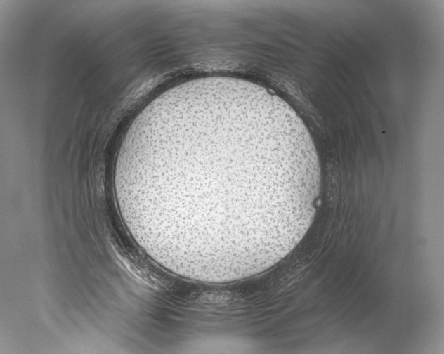 X0000077990631200611251412