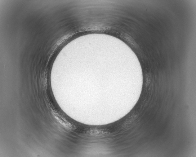 X0000077990632200611251412