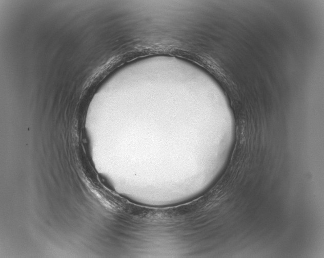X0000077990634200611251412