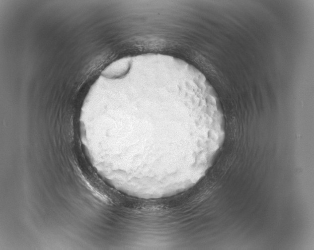 X0000077990638200611251412