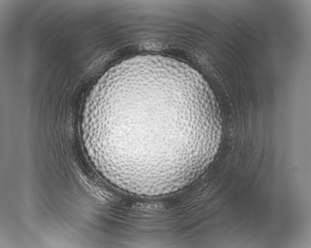 X0000077990639200611251412