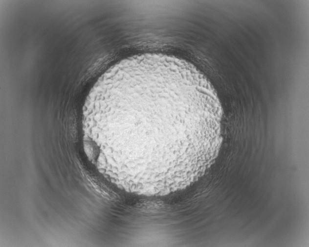 X0000077990642200611251412