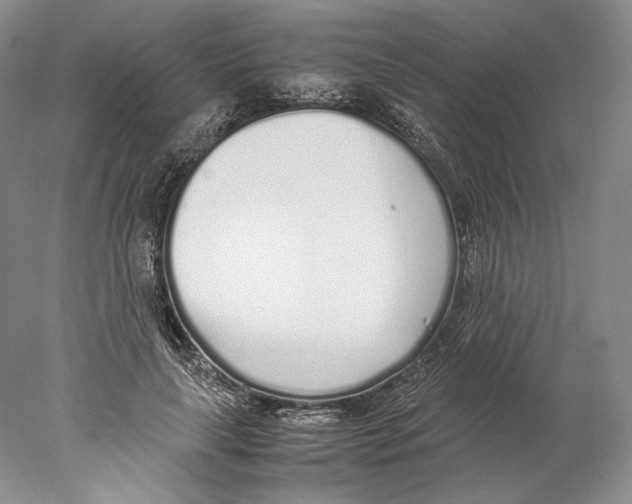 X0000077990643200611251412