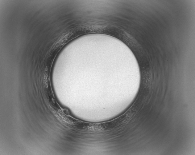 X0000077990644200611251412