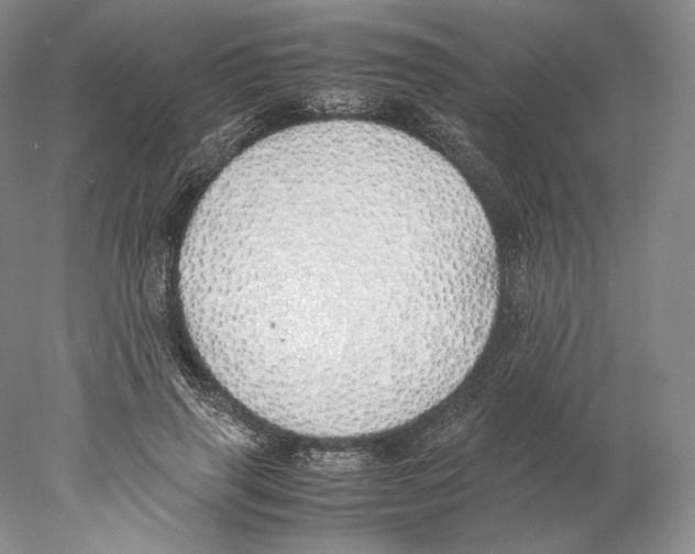 X0000077990645200611251412