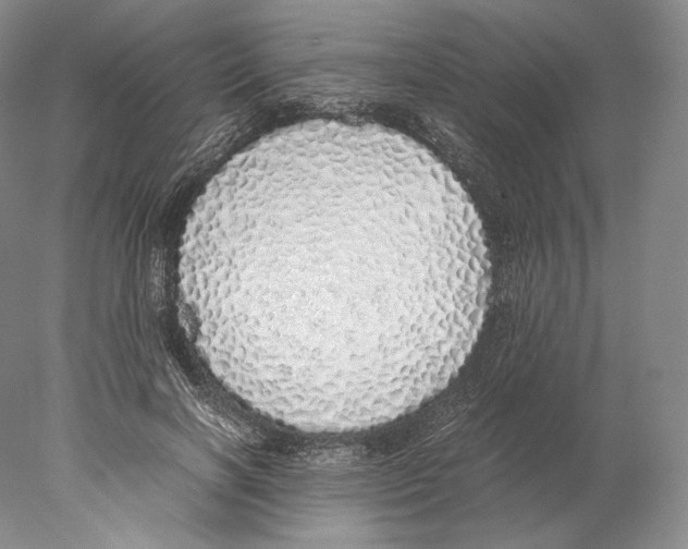 X0000077990646200611251412