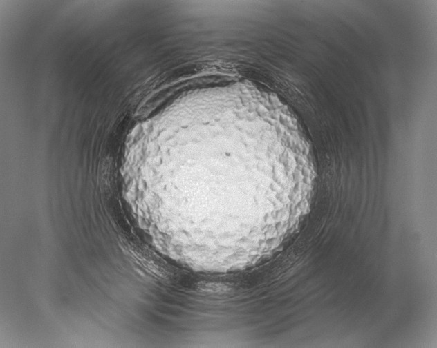 X0000077990649200611251412