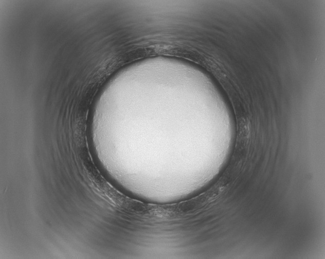 X0000077990650200611251412