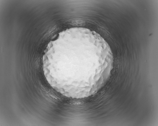 X0000077990652200611251412
