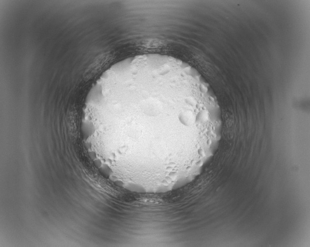 X0000077990654200611251412