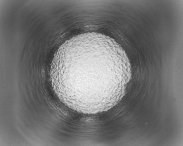 X0000077990655200611251412