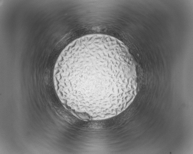 X0000077990656200611251412