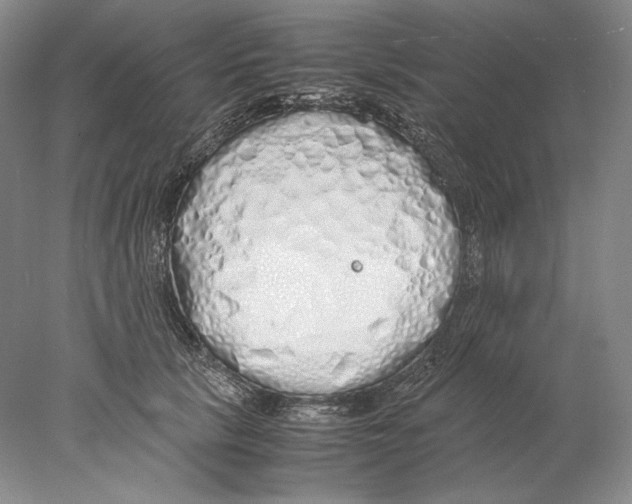 X0000077990657200611251412