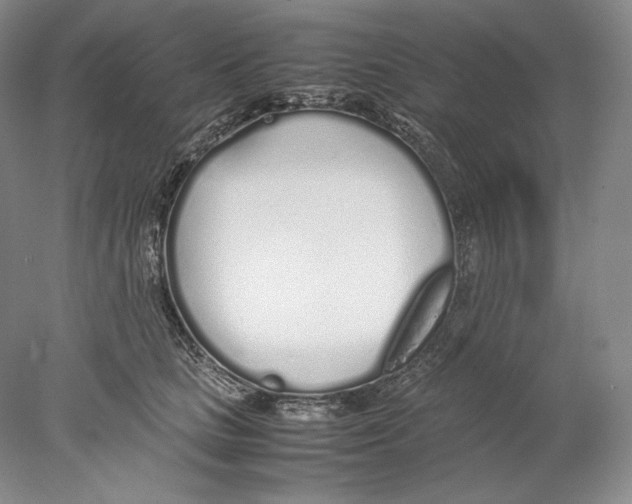 X0000077990661200611251413
