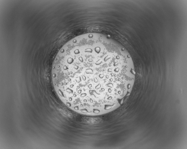 X0000077990663200611251413